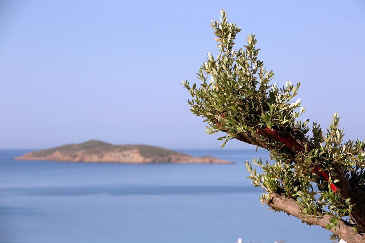 Elia Privileged Suites Andros Ανδροσ מראה חיצוני תמונה